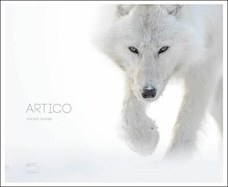 Artico. Ediz. illustrata - Vincent Munier - copertina