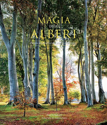 La magia degli alberi. Viaggio fotografico tra i giganti della terra. Ediz. illustrata - Noël Kingsbury - copertina