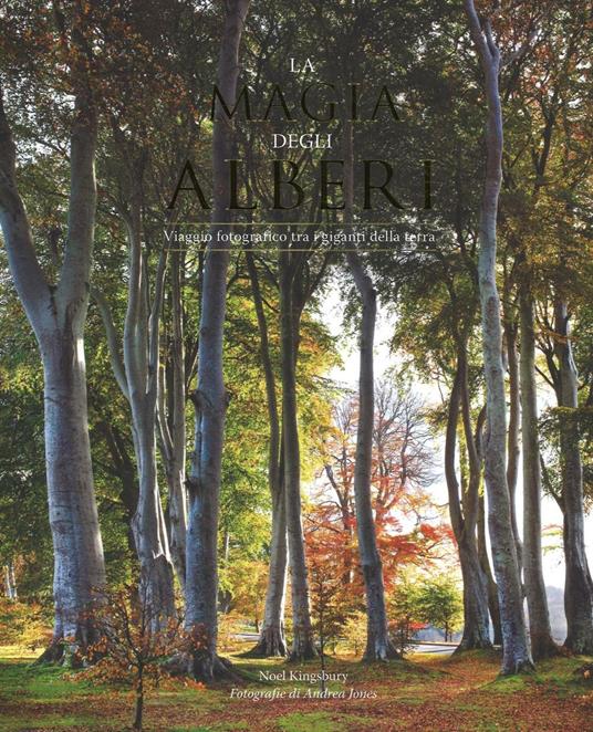 La magia degli alberi. Viaggio fotografico tra i giganti della terra. Ediz. illustrata - Noël Kingsbury - copertina