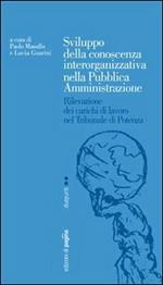 Sviluppo della conoscenza interorganizzativa nella pubblica amministrazione. Rilevazione dei carichi di lavoro nel tribunale di Potenza