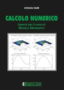 Libro Calcolo numerico. Esercizi per il corso di modelli matematici Antonio Galli
