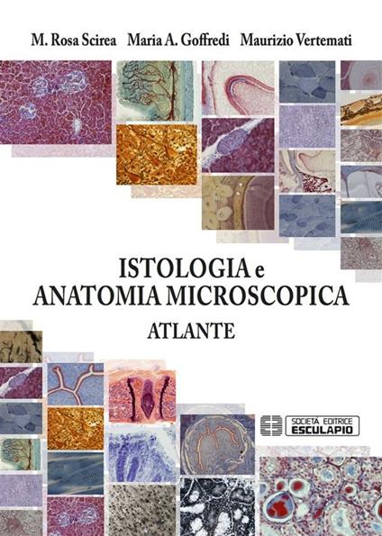 Istologia e anatomia microscopica. Atlante - Maria Albina Goffredi,M. Rosa Scirea,Maurizio Vertemati - ebook