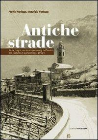 Antiche strade. Storie, luoghi, tradizioni e personaggi del Trentino che rischiano di scomparire per sempre - Flavio Panizza,Maurizio Panizza - copertina