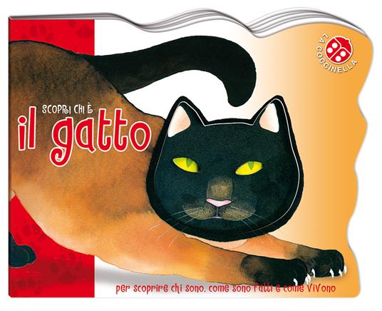 Scopri chi è il gatto - Cristina Mesturini,Giovanna Mantegazza - copertina