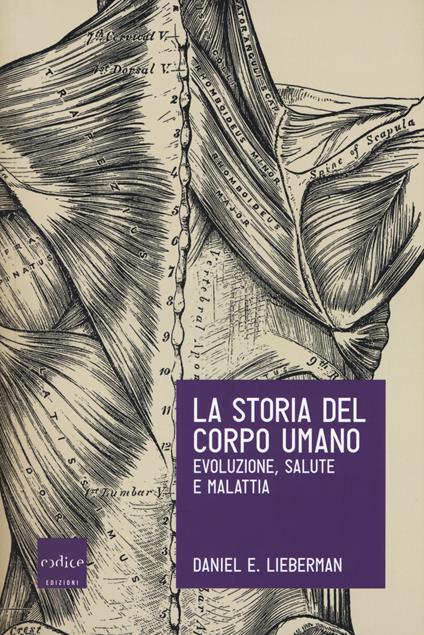 La storia del corpo umano. Evoluzione, salute e malattia - Daniel E. Lieberman - copertina