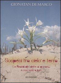 Sospesi tra cielo e terra. Le beatitudini dette ai giovani... e non solo a loro - Gionatan De Marco - copertina