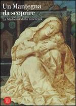 Un Mantegna da scoprire. La Madonna della tenerezza. Catalogo della mostra (Padova, 16 settembre 2006-14 gennaio 2007)