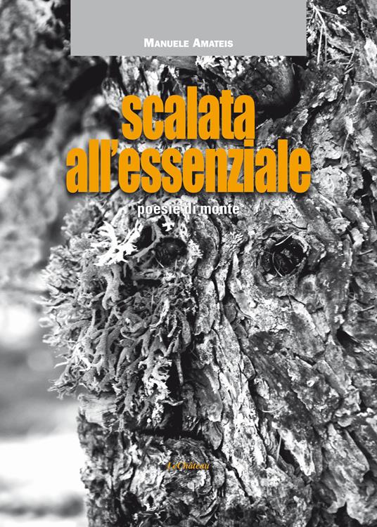 Scalata all'Essenziale - copertina