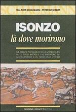 Isonzo. Là dove morirono sul fronte più cruento della grande guerra. Le 12 battaglie che portarono le potenze centrali solo a un passo dalla vittoria