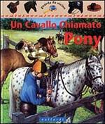 Un cavallo chiamato pony