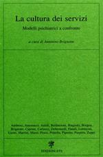 La cultura dei servizi. Modelli psichiatrici a confronto