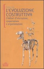 L' evoluzione costruttiva. I fattori d'interazione, cooperazione e organizzazione