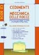 Cedimenti e meccanica delle rocce. Con CD-ROM