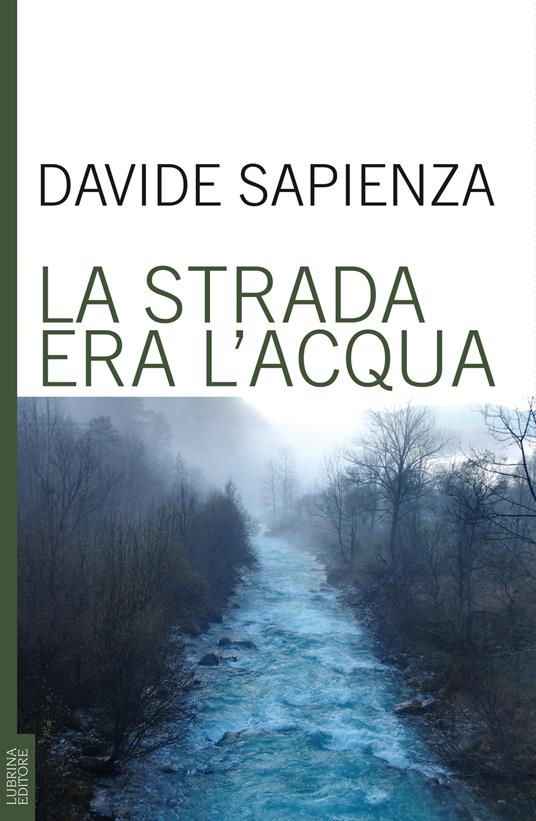 La strada era l'acqua - Davide Sapienza - copertina