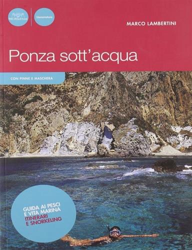 Ponza sott'acqua. Guida ai pesci e altra vita marina. Itinerari snorkeling - Marco Lambertini - copertina