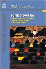 Zone d'ombra. Migranti irregolari, operatori e servizi socio-sanitari