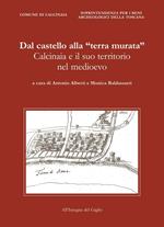 Dal castello alla «terra murata». Calcinaia e il suo territorio nel Medioevo