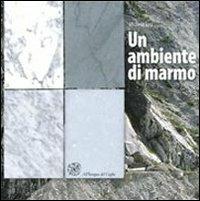 Un ambiente di marmo - Michela Toni - copertina