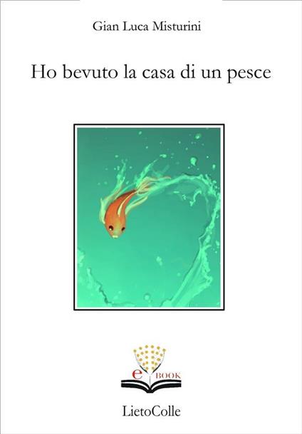 Ho bevuto la casa di un pesce - G. Luca Misturini - ebook