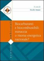 Biocarburanti e biocombustibili. Minaccia o risorsa energetica nazionale?