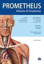 Prometheus. Altante di anatomia