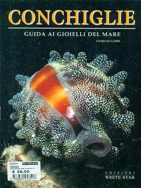 Conchiglie. Guida ai gioielli del mare. Ediz. illustrata - Giorgio Gabbi - 2