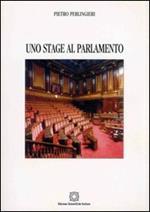 Uno stage al parlamento