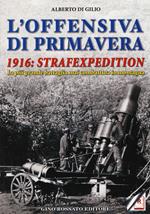 L' offensiva di primavera. 1916: strafexpedition. La più grande battaglia mai combattuta in montagna