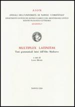 Multiplex latinitas. Testi grammaticali latini dell'Alto Medioevo
