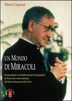 Un mondo di miracoli