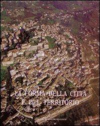 La forma della città e del territorio. Esperienze metodologiche e risultati a confronto. Atti dell'Incontro di studio (S. Maria Capua Vetere, 27-28 novembre 1998) - copertina