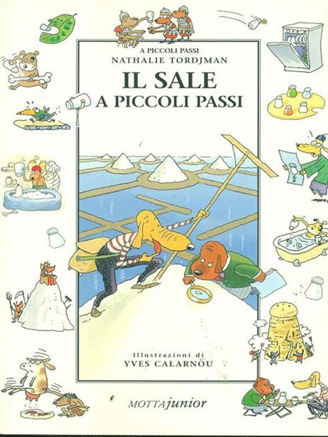 Il sale a piccoli passi - Nathalie Tordjman - copertina