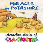 Miracle in Potashire