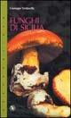 Funghi di Sicilia