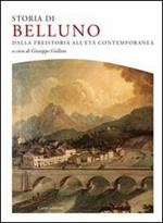 Storia di Belluno. Dalla preistoria all'epoca contemporanea