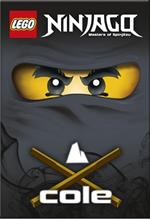 Il maestro della terra Cole. Lego Ninjago. Masters of Spinjitsu