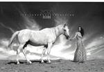 Italian horse protection. Essere. Calendario 2021