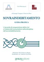 Sovraindebitamento. Guida pratica. L'accordo di composizione della crisi e il piano del consumatore nella disciplina del sovraindebitamento