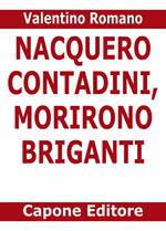 Nacquero contadini, morirono briganti. Storie del Sud dopo l'Unità dimenticate negli archivi