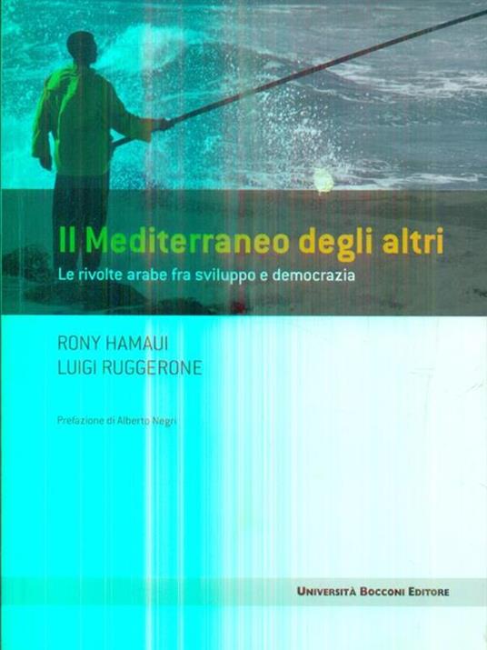 Il Mediterraneo degli altri. Le rivolte arabe fra sviluppo e democrazia - Rony Hamaui,Luigi Ruggerone - 3