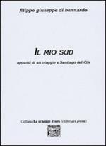 Il mio sud. Appunti di un viaggio a Santiago del Cile