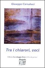 Tra i chiarori, voci