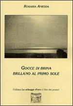 Gocce di brina brillano al primo sole