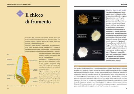 Il mondo del pane. Il libro per conoscerlo, sceglierlo, farlo in casa. Nuova ediz. - 4