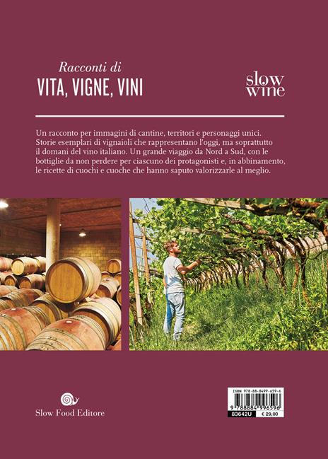 Il grande viaggio nel vino italiano. Racconti di vita, vigne, vini - 2