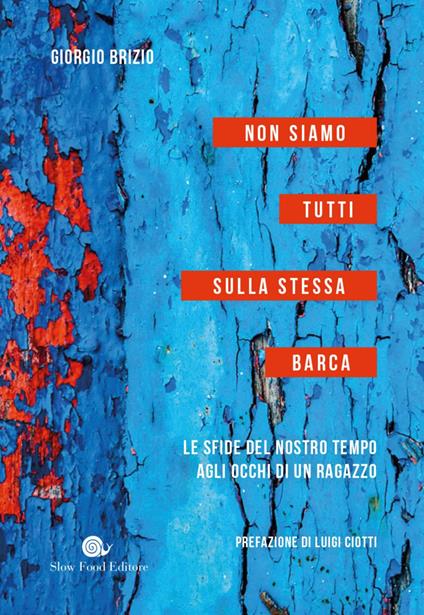 Non siamo tutti sulla stessa barca. Le sfide del nostro tempo agli occhi di un ragazzo - Giorgio Brizio - ebook