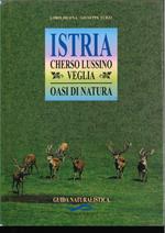 Istria, Cherso, Lussino: guida storico-artistica. Storia e cultura di 50 comuni!