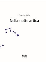 Nella notte artica