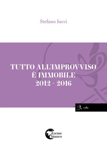 Tutto all'improvviso è immobile - Stefano Iucci - copertina