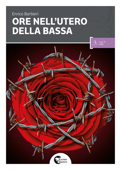 Le ore nell'utero della bassa - Enrico Barbieri - copertina